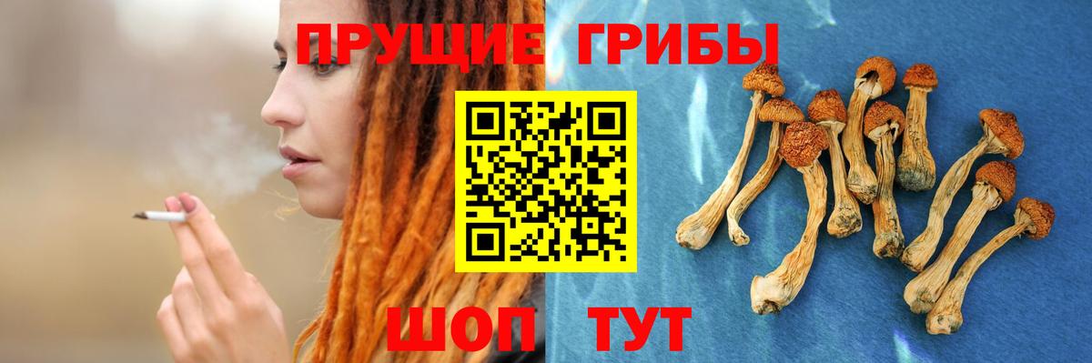 Галлюциногенные грибы мухоморы Каменка